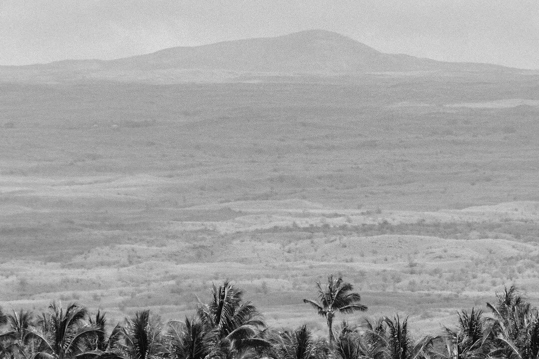 A black-and-white view across an open plain to a hill, palm trees along the foot of the picture.